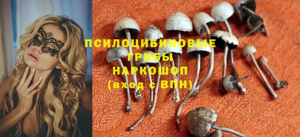 сатива Армянск