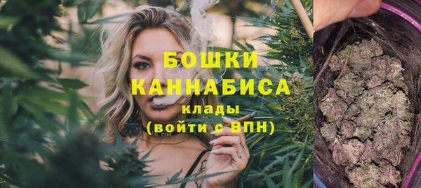 сатива Армянск